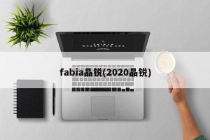 fabia晶锐(2020晶锐)