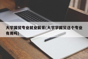 大学国贸专业就业前景(大学学国贸这个专业有用吗)